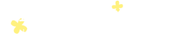 1日の流れと年間行事